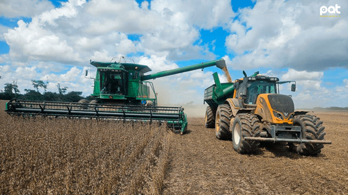 Anapo proyecta recuperación con 2,3 millones de toneladas de soya pese a lluvias