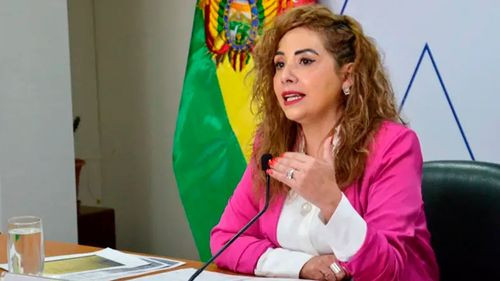 Denuncian a expresidenta de la Aduana por presunto daño económico millonario