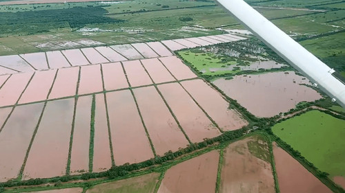 Inundaciones en Pailón ponen en riesgo cultivos y comunidades