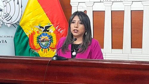 Bolivia implementa nueva política para reducir la permanencia de niños en centros de acogida