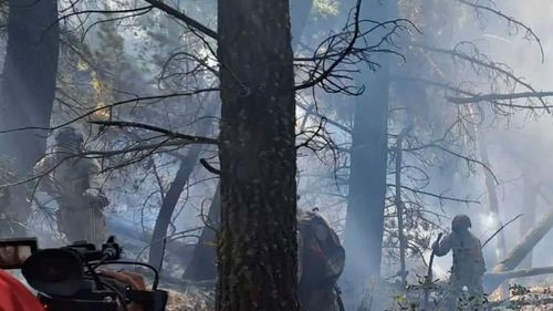 Bolivia enfrenta emergencia nacional por incendios forestales  