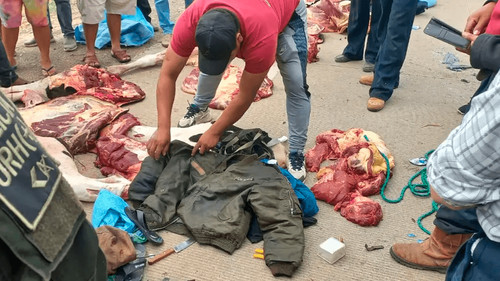 Seis aprehendidos por abigeato en colonia menonita de Santa Cruz 