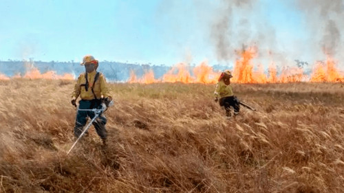 Reportan ocho incendios forestales en el país y refuerzan el combate aéreo en el parque Noel Kempff