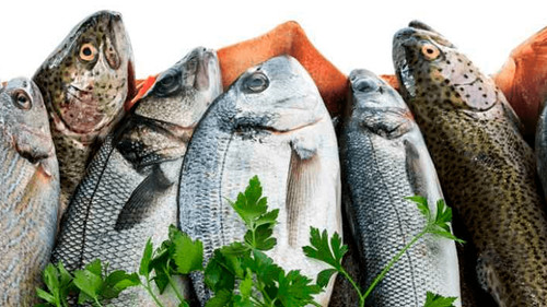 Incrementa la demanda de pescado en Cochabamba ante la proximidad de Semana Santa