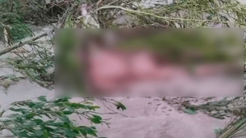 Intensas lluvias: hallan sin vida a un hombre que fue arrastrado por un río en Warnes