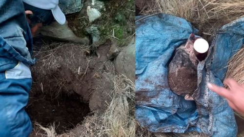 Imputan a hombre por v!0l4c!ón e inf4ntic!d!0 en Cochabamba 