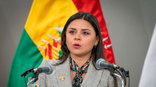 Renuncia vocera presidencial