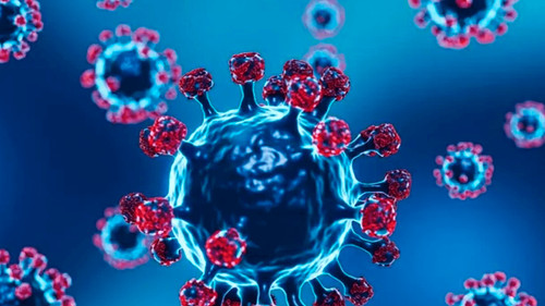 Sedes Santa Cruz declara alerta naranja por posible caso de gripe H3N2 variante K y emite recomendaciones