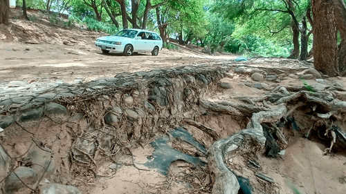 Ríos de Santa Cruz en riesgo: identifican 172 puntos críticos tras intensas lluvias