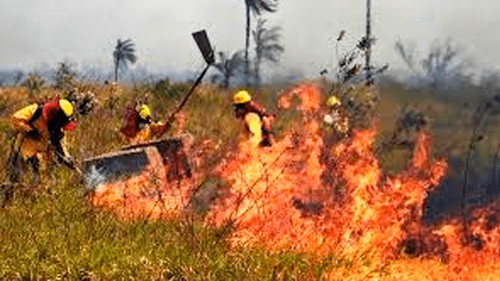 Alerta por siete incendios forestales en Santa Cruz