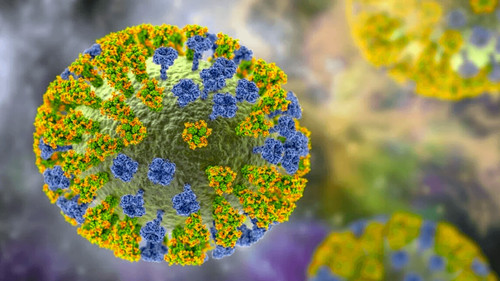 Se confirman dos casos de la Gripe K en Bolivia