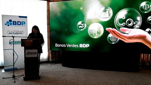 El BDP impulsa las finanzas sostenibles y avanza con la emisión de bonos verdes