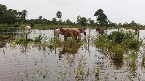 Inundaciones en Pucarani afectan cultivos y viviendas 