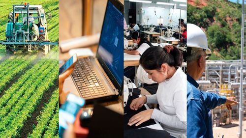Decretos económicos y medidas para fortalecer la producción nacional 