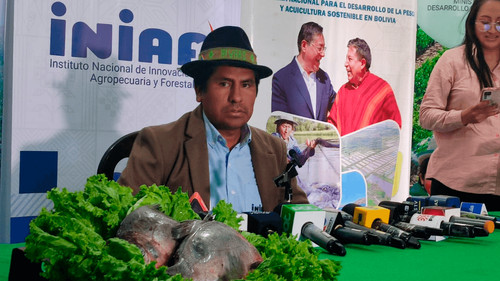 Feria “del campo a la olla” contra el aumento de precios