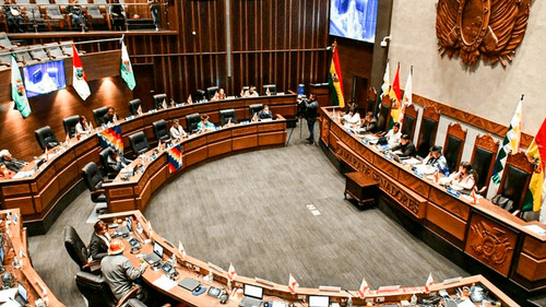 Asambleístas del MAS rechazan 11 proyectos de créditos por falta de transparencia y crisis económica