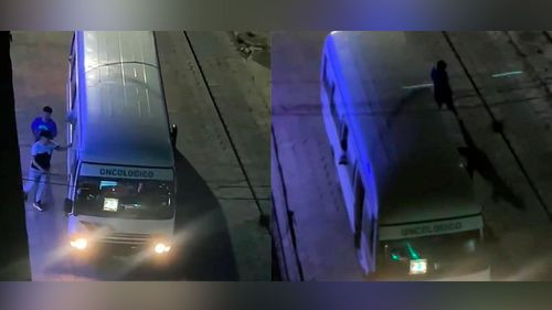 Revelado el modus operandi de banda que roba celulares en micros del centro cruceño
