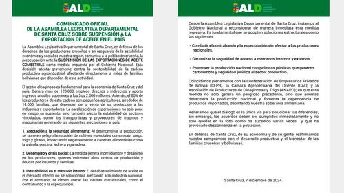 Productores cruceños rechazan veto a exportaciones de aceite y exigen soluciones al Gobierno 
