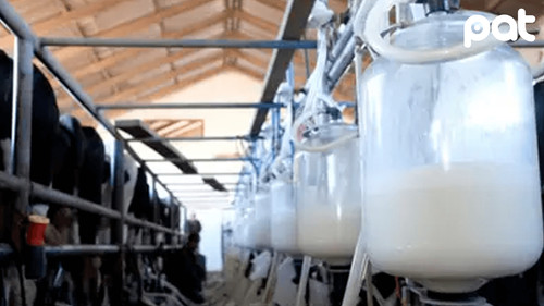 Fedeple se declara en emergencia y advierte con desabastecimiento de leche a nivel nacional