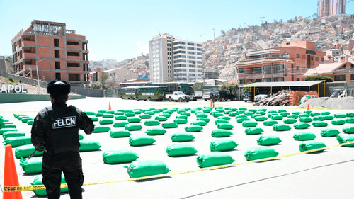 Destruyen 171 fábricas de droga en operativo antidroga en el Trópico