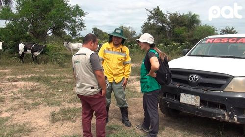 Gobernación de Santa Cruz realiza rastrillaje tras denuncia de avistamiento de jaguares en Porongo