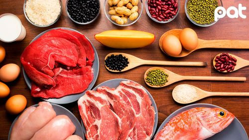 La importancia de consumir suficientes proteínas