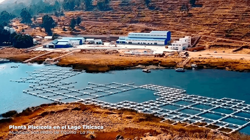 Planta piscícola en el lago Titicaca alcanza el 90% de avance 
