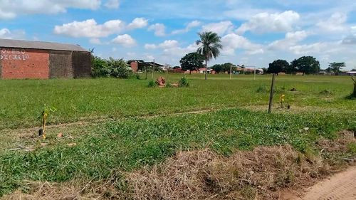 ABT siembra esperanza en Las Maras con jornada de arborización 