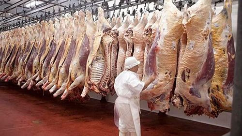 CANEB advierte que veto a exportaciones empobrece a Bolivia
