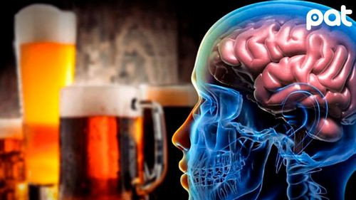 Nuevo estudio alerta sobre daño cerebral por consumo de alcohol