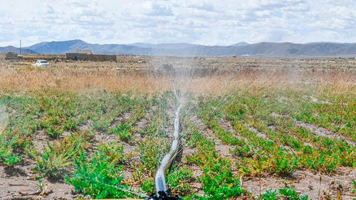 Gobierno prioriza construcción de presas y riego sostenible con crédito de $us 240 millones