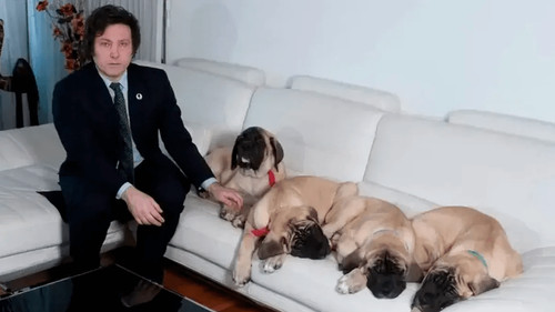 Restricciones en Argentina limitan el acceso a información sobre los perros de Milei