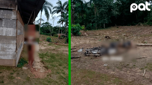 Hallan dos cuerpos maniatados en una choza de Shinahota