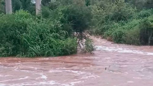 Intensas lluvias y desborde del río Cotoca afectan a Puerto Pailas y otras localidades en Santa Cruz