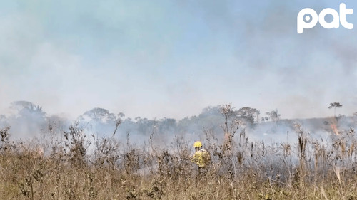 Dieciséis incendios activos afectan a ocho municipios de Santa Cruz