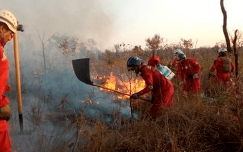 Expertos franceses y Procuraduría analizan impacto de incendios forestales
