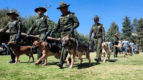 Canes adiestrados cumplen su labor en Bolivia