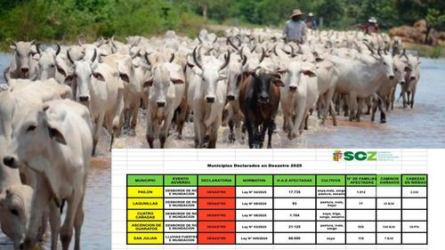 FEGASACRUZ información sobre la afección por inundaciones en el sector ganadero