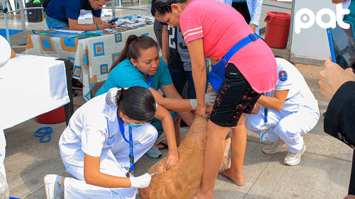 Santa Cruz en alerta por rabia: pide urgente 900.000 dosis
