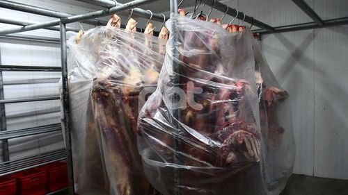 Baja el precio de la carne de res de Bs40 a Bs34,5 el kilo gancho en La Paz y El Alto  
