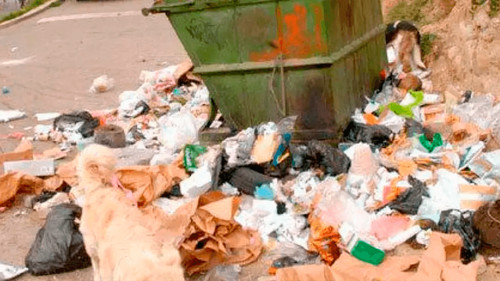 Encuentran cuerpo sin vida oculto entre la basura en el Plan 3.000