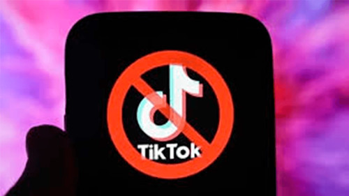  La incertidumbre rodea a Tiktok: 20 países restringen o eliminan el acceso a la plataforma 