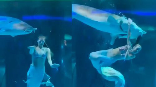 Mujer vestida de sirena es mordida por un pez gigante durante show en China