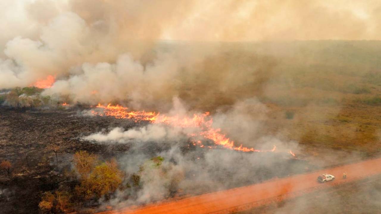 Incendios en Santa Cruz.jpg
