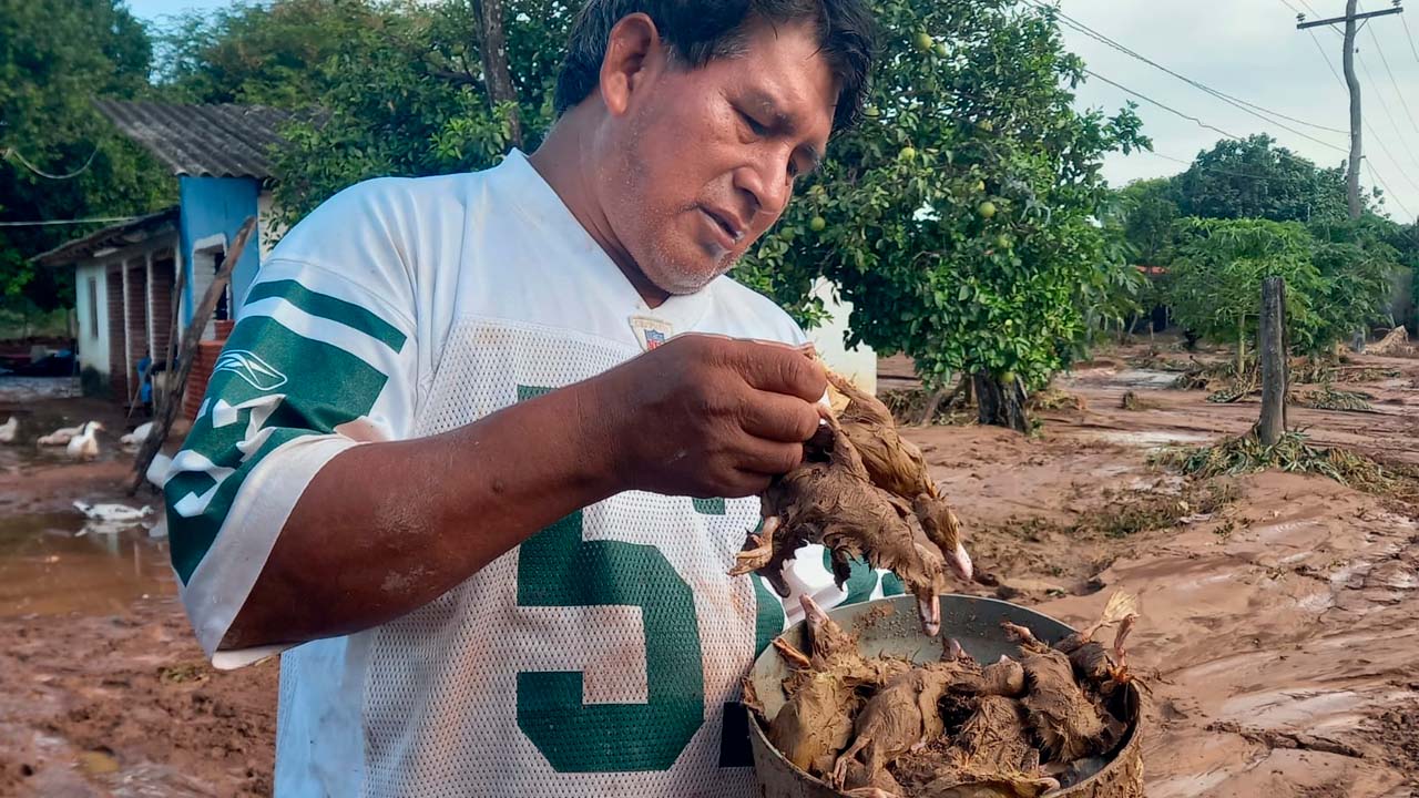 Inundaciones en Tiquipaya dejan destrucción y pérdidas en la crianza de patos.jpg
