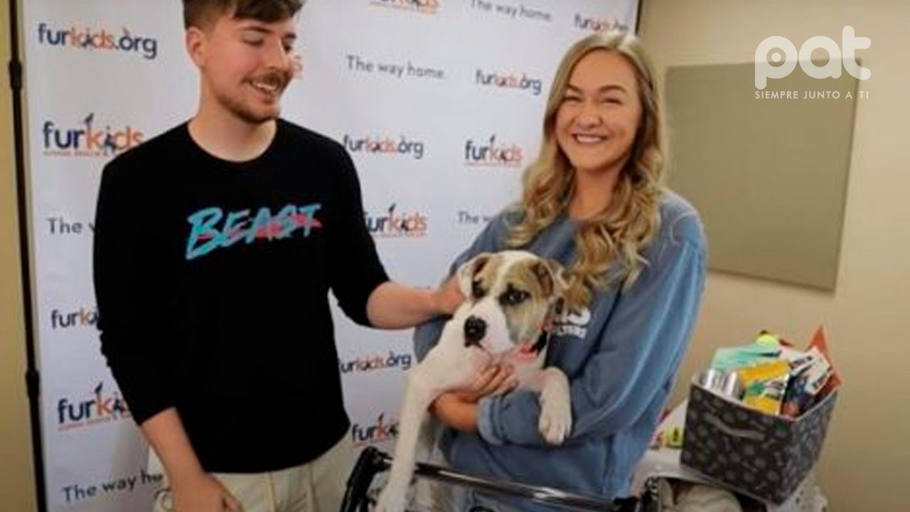 Mr. Beast da en adopción a los perros.jpg