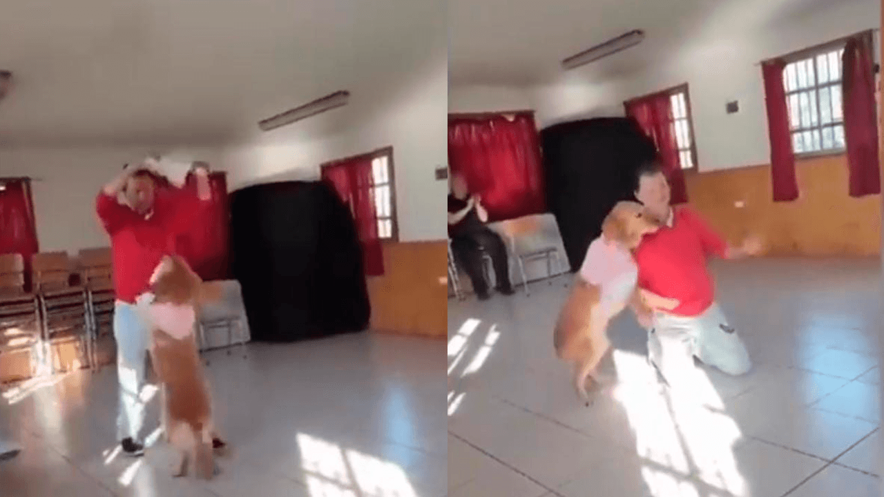 Perrito baila cueca con un hombre.png