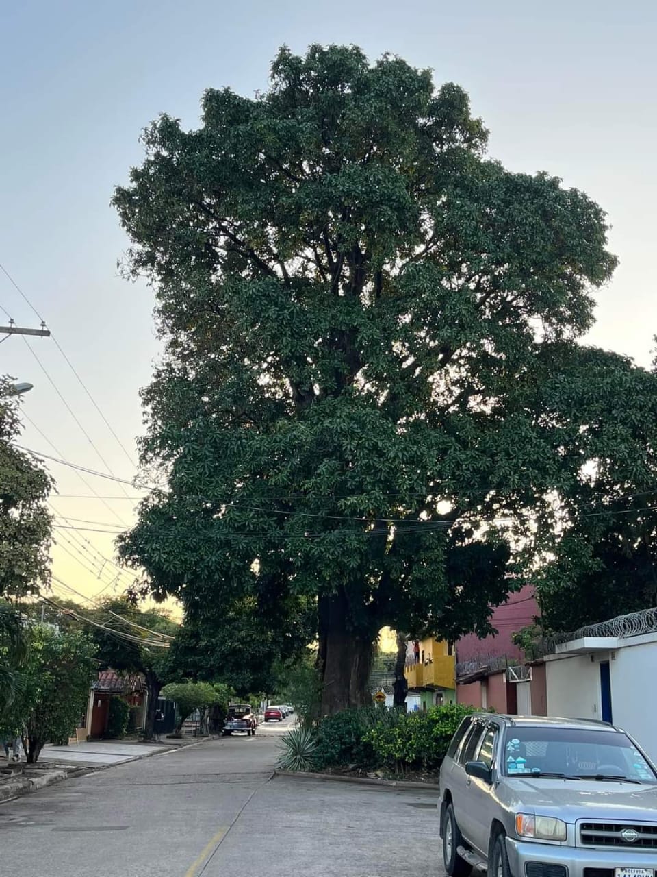 WhatsApp Image 2023-09-01 at 11.23.45.jpeg