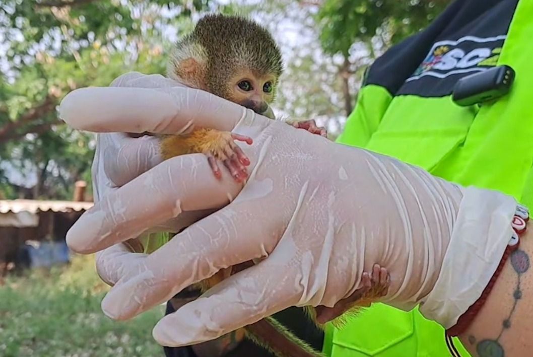 WhatsApp Image 2023-11-09 at 7.08.02 PM (1).jpeg