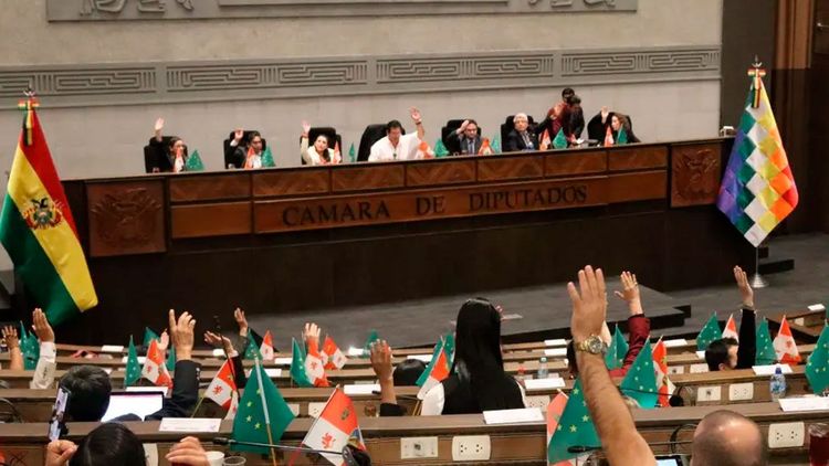 Proyecto de ley por crédito de $us 1.900 millones del FMI ingresa a la Asamblea
